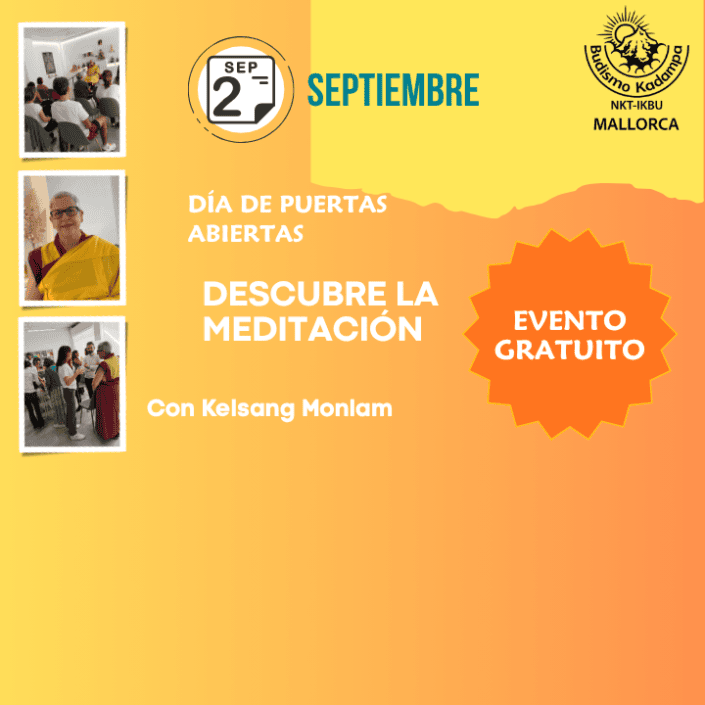 720 x 720 Dia de puertas abiertas
